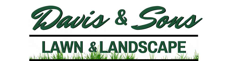 Davis & Sons Lawn & Landscape