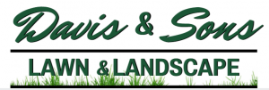 Davis & Sons Lawn & Landscape